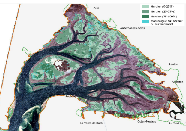 Cartographie des herbiers marins en milieu intertidal, Parc Naturel Marin du Bassin d’Arcachon 